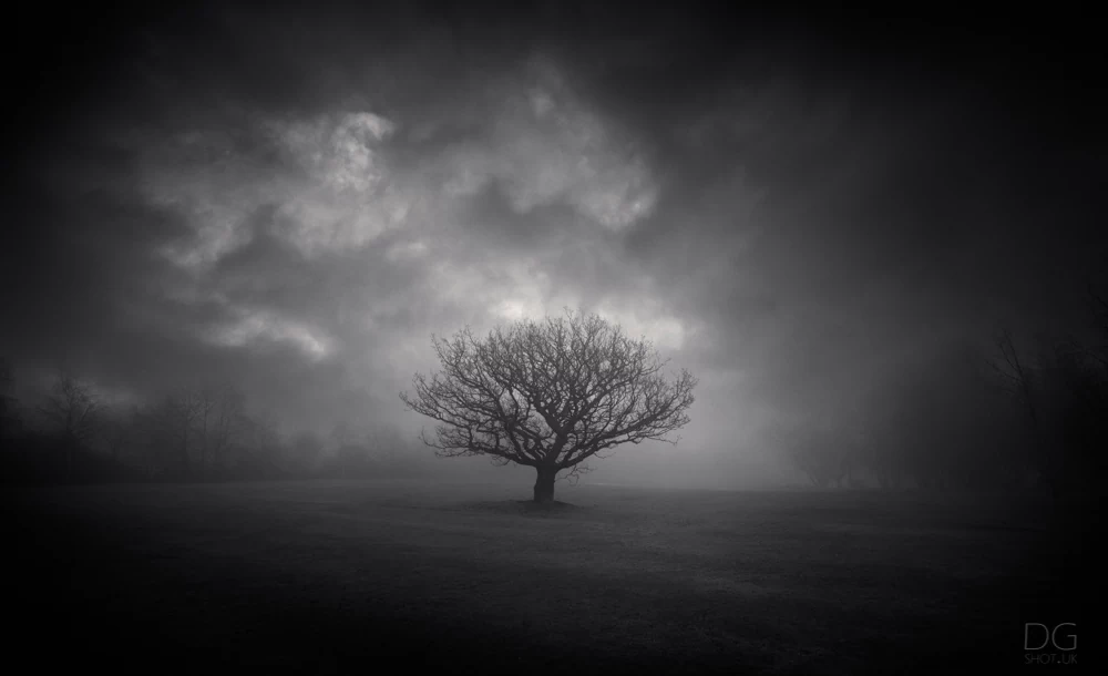 Adobe, Art, artist, Black & White, black and white, Bleak, bnw, Calm, Camera, clouds, Contrast, courses, Dark, David Garthwaite, dgshot.uk, drama, dramatic, editing tutorial, field, fine art, for sale, framed, gallery, grain, horsforth tree, imposing, Leeds, Lens, mist, moody, nature, night, north, outdoors, Peaceful, photographer, Photoshop, prints, purchase, Sigma, Sky, Smooth, Sony a7r3, thoughtful, tree, tutorial, UK, Wide Angle, yorkshire